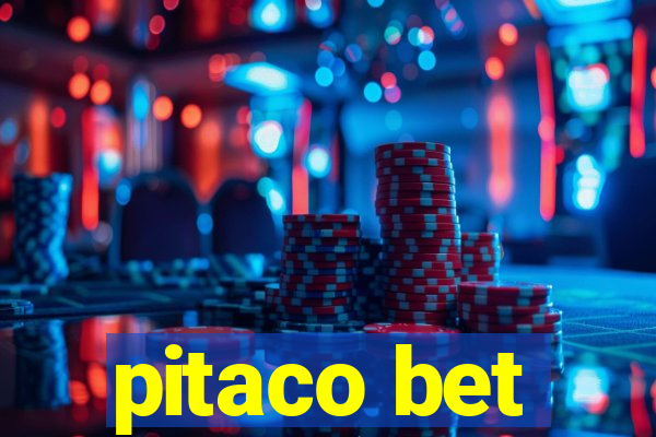 pitaco bet